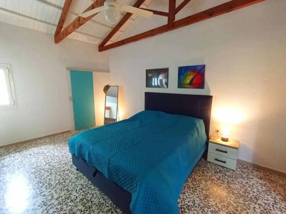 Vakantiehuis Olive House